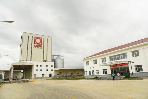 起步开局，大理这样干 三大工业园区升级省级产业园区，物流行业协会助力发展